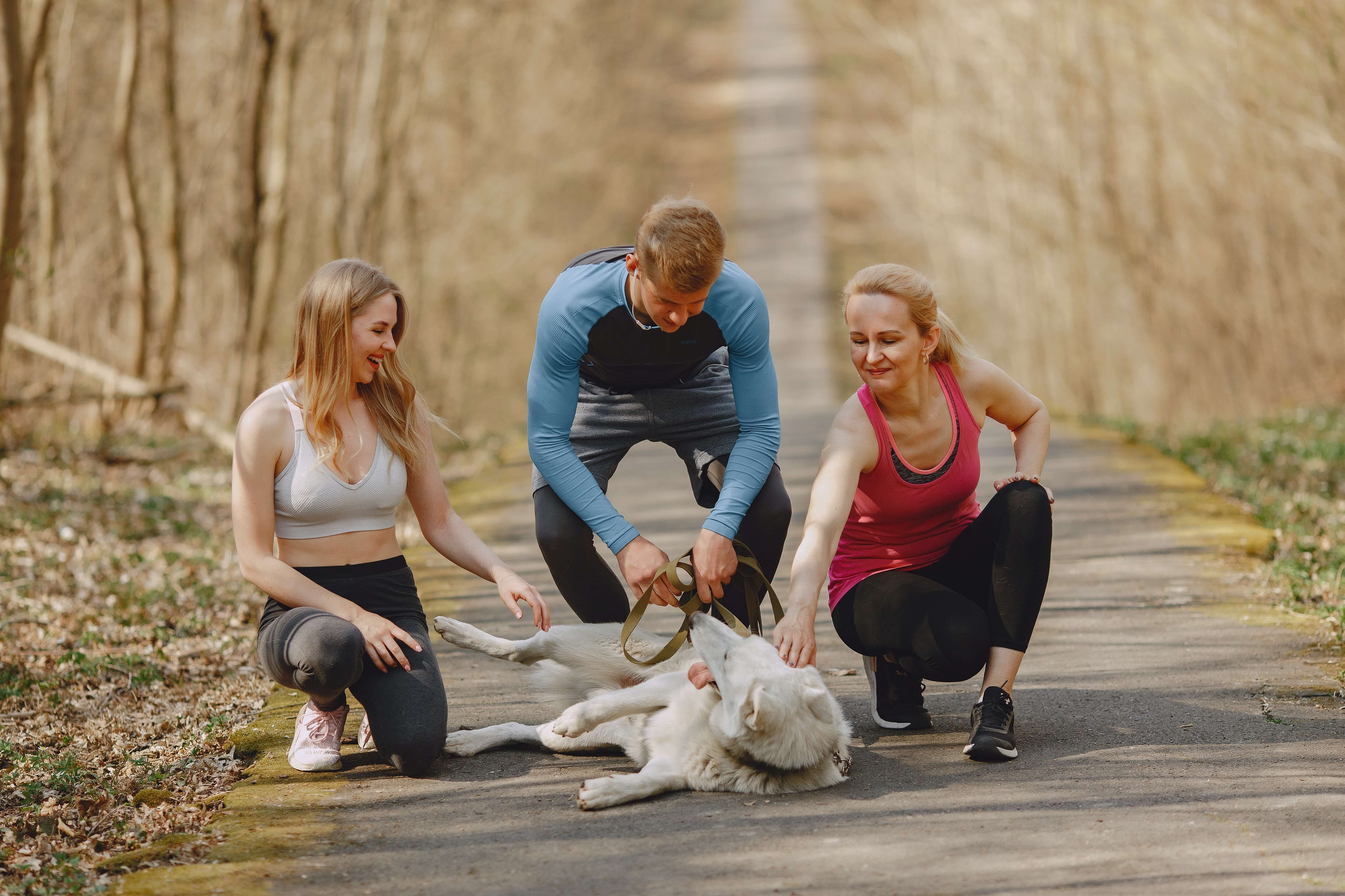 How To Become A Service Dog Trainer