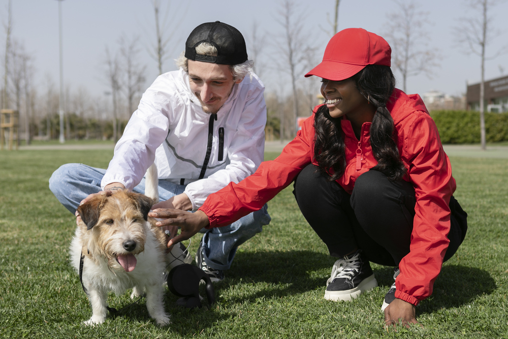 how-long-does-it-take-to-train-a-service-dog-for-ptsd